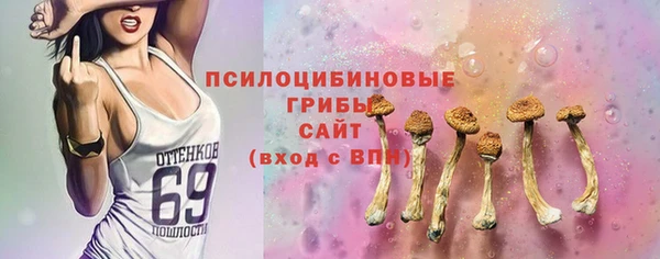 гидропоника Богданович