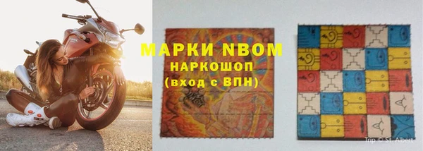 гидра Покачи