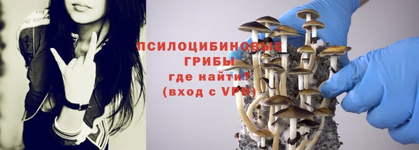 таблы Пролетарск