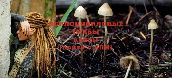 мяу мяу мука Богородицк