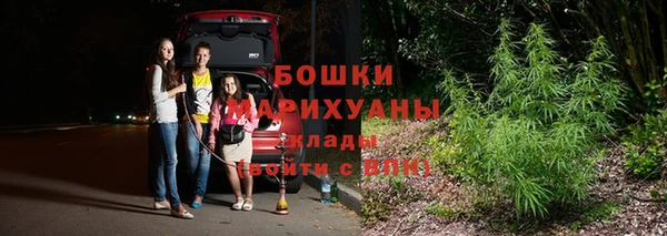 ПСИЛОЦИБИНОВЫЕ ГРИБЫ Покров