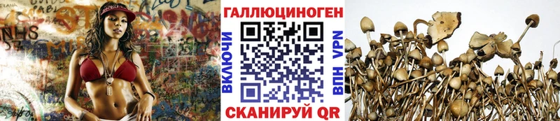 Купить Сосногорск Галлюциногенные грибы прущие грибы